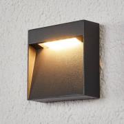 Bene - led wandlamp voor buiten