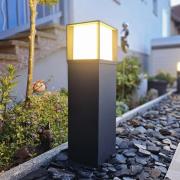 Tuinpadverlichting Henry, zwart, hoogte 60 cm, aluminium/roestvrij sta...