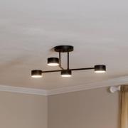 Plafondlamp Modus 4, staal, 4-lamps, GX53, zwart