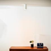 LED plafondlamp Delto dimbaar tot warm, rond, wit