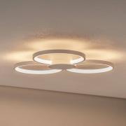 Bega plafondlamp 51299.1, fluweelwit, metaal, DALI