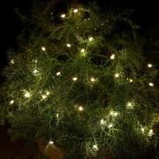 LED lichtketting Knirke voor buiten, 40 lampjes