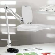 LED loeplamp MAULvitrum, wit, klem, metaal