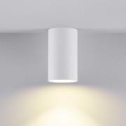 Downlight CAN, wit, IP44, Ø 6 cm, metaal, GU10