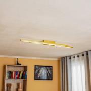 Quitani Talon LED plafondlamp 2-lamps messing geanodiseerd
