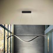 Boa LED hanglamp, mat zwart, metaal