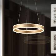 Helia LED hanglamp, goudkleurig, Ø 50 cm, metaal