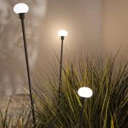 Karman LED grondspies lamp MINUIT, hoogte 60 cm, zwart, IP65