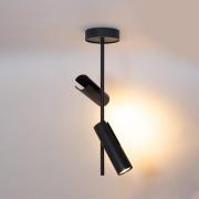 Plafondspot Leda 2, antraciet, 2-lamps, staal, hoogte 55 cm