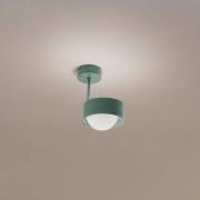 Plafondlamp Mado, 1-lamp, groen
