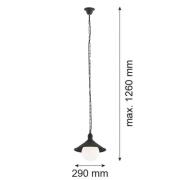 Buiten hanglamp Enduro, zwart, staal, glas, IP44, E27