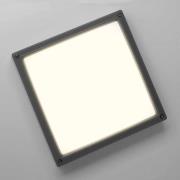 SUN 11 - LED wandlamp 13W, antraciet 3K