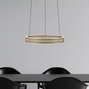 PURE LED hanglamp E-Loop, brons, Ø 50 cm, aluminium CCT