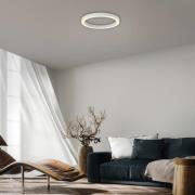 PURE LED plafondlamp Lines, Ø 50 cm, wit CCT, afstandsbediening