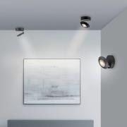 PURE LED plafondlamp Oculis, zwart, Ø 15 cm, ijzer/glas