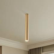 Plafondspot Eye, hoogte 40 cm, messing