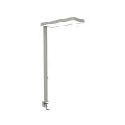 LED klemlamp MAULjura, zilverkleurig, dimbaar, 100 cm