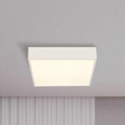 LED badkamer plafondlamp Zeus, wit, lengte 30 cm, metaal