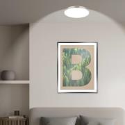 LED plafondlamp Kaida, mat nikkel, Ø 38 cm, EEK A, 4.000 K