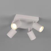 Plafondspot Soka, lichtgrijs, lengte 20 cm, metaal, 4-lamps.