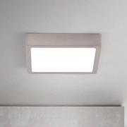 LED plafondlamp Disc nikkelkleurig gesatineerd, lengte 14 cm CCT