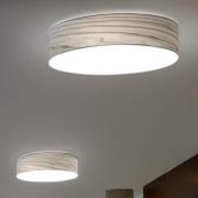 LZF LED wandlamp Gea, grijs, Ø 42 cm, hout