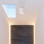 Plafondspot Bengala hoekig, wit, aluminium, GU10, zwenkbaar