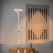LED vloerlamp Celeste, wit, hoogte 174 cm, metaal