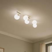 Plafondlamp Drum, goudkleurig, glas, lengte 80 cm, 5-lamps