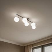 Plafondlamp Drum, koffie, glas, lengte 80 cm, 5-lamps, G9