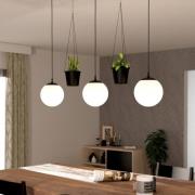 Hanglamp Rondo 3 bloempot 3-lamps zwart