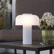 LED tafellamp Ponente, Ø 16 cm, wit, CCT, dimbaar