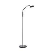 LED vloerlamp Tallri, zwart, hoogte 135 cm, CCT, touchdim
