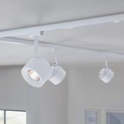 Paulmann URail LED-spot Pane, signaalwit, 4000K, dimbaar