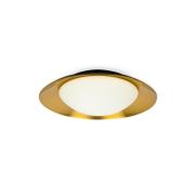 Faro Side - plafond/wandverlichting - Ø 39 x 11 x 21 cm - 15W LED incl...