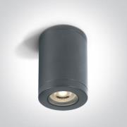 ONE Light GU10 Outdoor Cylinder Lights - opbouwspot 1L - Ø 7,2 x 13 cm...
