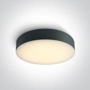 ONE Light IP65 CCT V - plafondlamp - Ø 32 x 6,2 cm - 20W LED incl. - I...