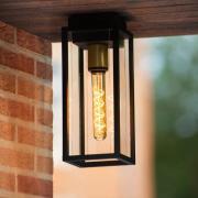 Lucide Laurens - buiten plafondverlichting - 14 x 14 x 35 cm - IP54 - ...